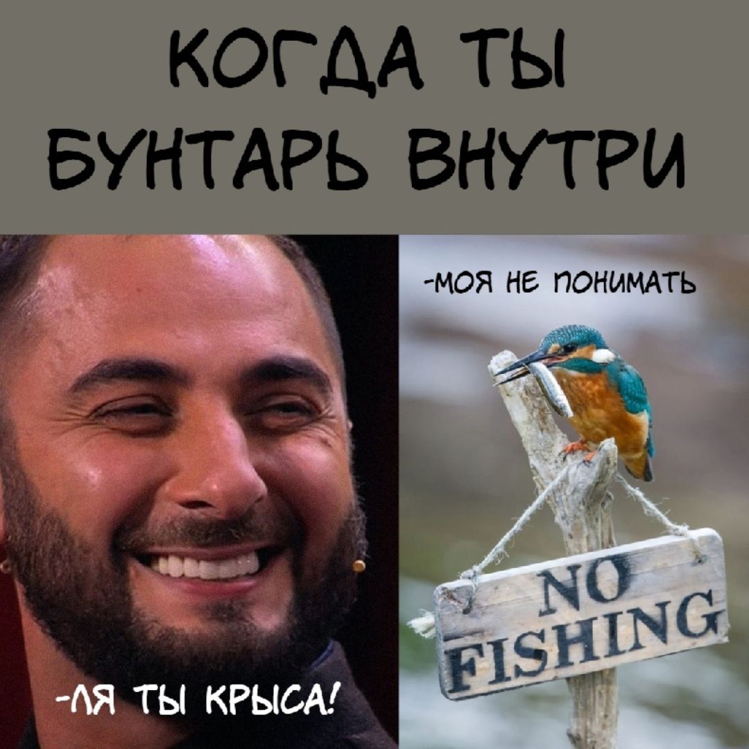 Он не крыса а бунтарь
